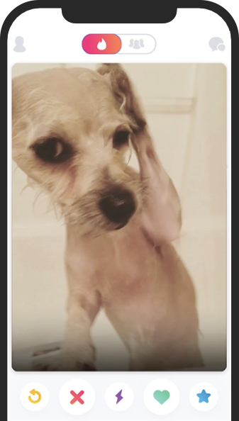 Iphone image with a dog inside